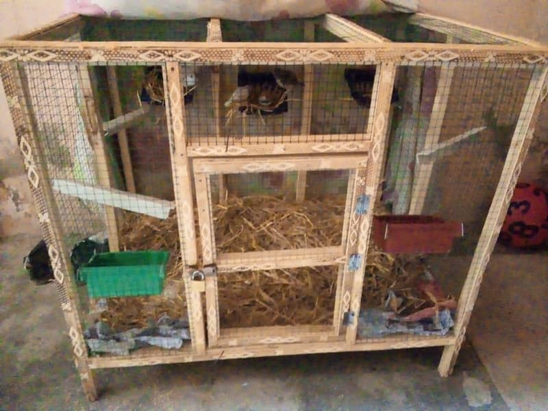 Finches with cage 4