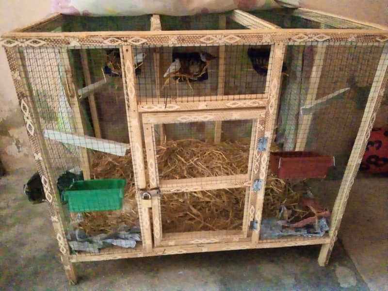 Finches with cage 5