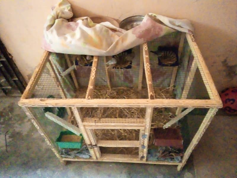 Finches with cage 6