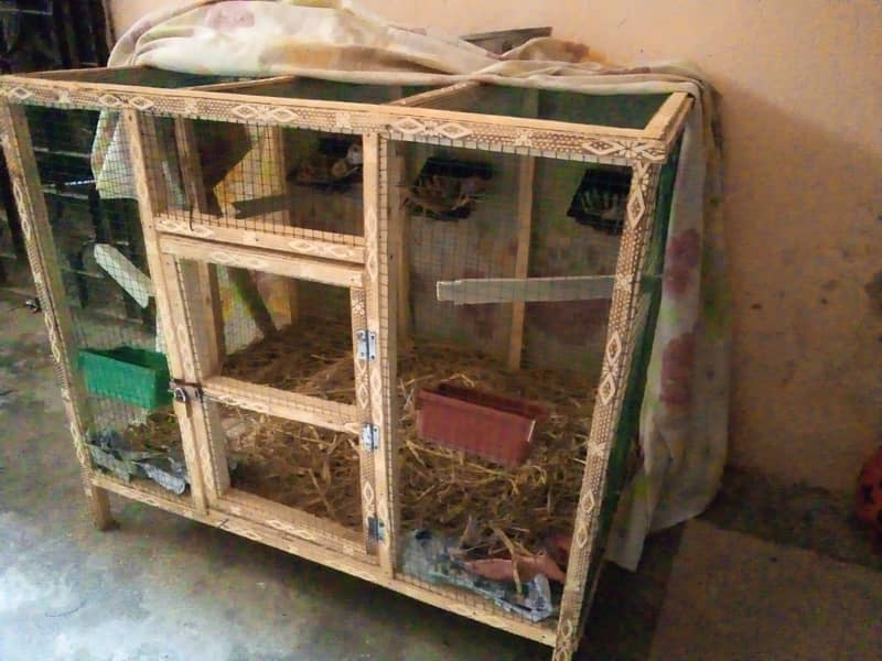 Finches with cage 7