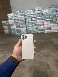 iphone 12 pro max pta approved