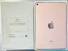 ipad mini 5