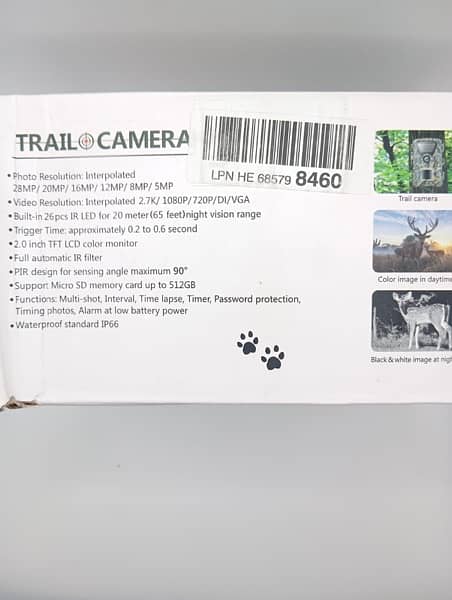 Trial Camera 4