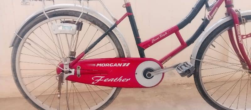 Morgan Feather Classic Bicycle 1