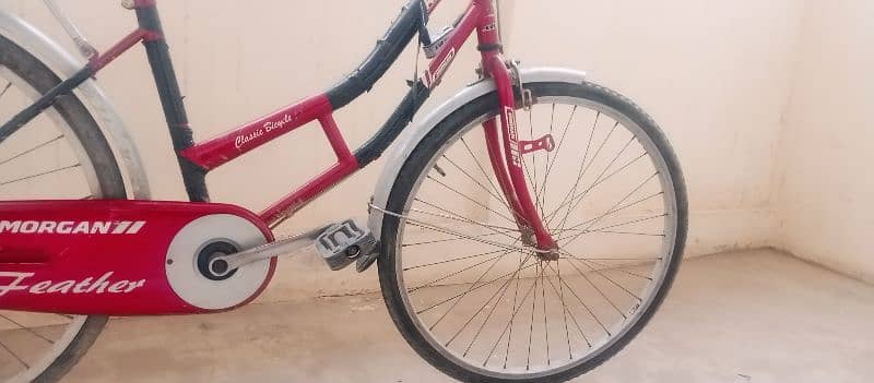 Morgan Feather Classic Bicycle 2