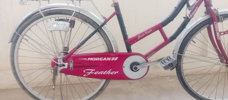 Morgan Feather Classic Bicycle 4