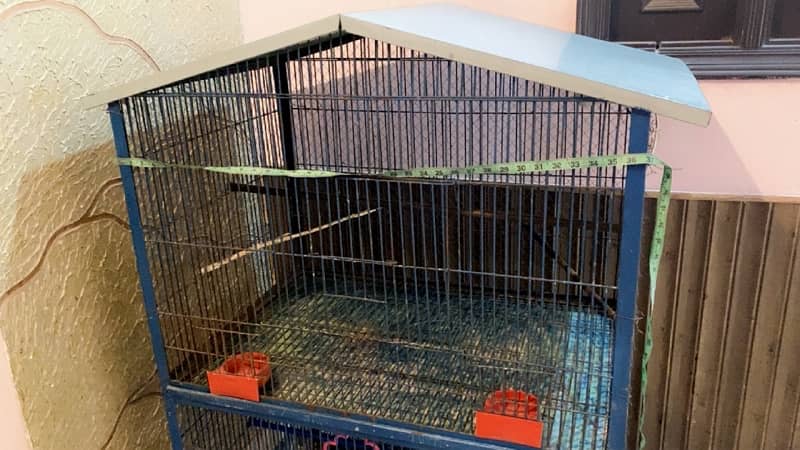 iron cage for sale 3