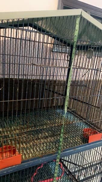 iron cage for sale 6