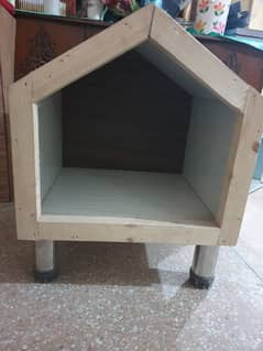 cat house for adult cats and kittens