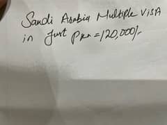 multiple visa for saudia arabia in 120000 in 24 hours