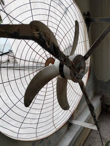Air cooler fan 1