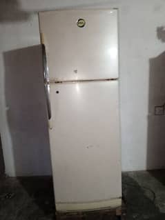 Refrigerator Pel / Medium Size / Condition 10/10