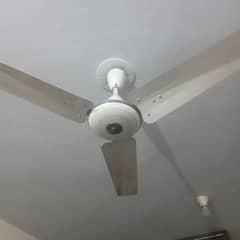 Fan 56" celling fan