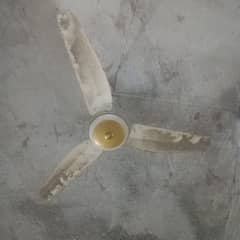 fan ,pankha, chat , ceiling