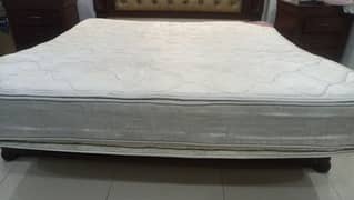 molty foam mattress