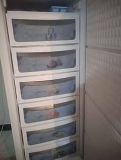 vertical freezer one year used still in warranty