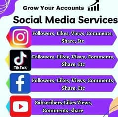 TikTok Followers, Instagram Followers, Facebook, YouTube Views Service