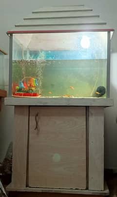 Used fish aquarium with Molly fishes and air pump 0