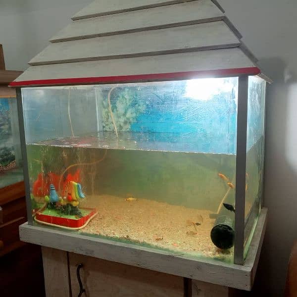Used fish aquarium with Molly fishes and air pump 2