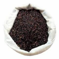 Black Rice (Black Gold)