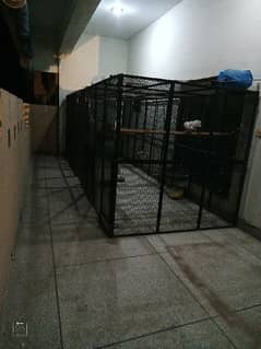 folding cage, 18 ft x 6 ft x 6 ft, 10 no wire, watsaap 0316/69/56/464