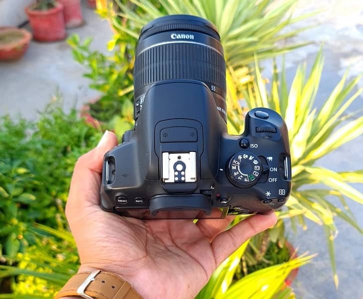 urgent sell canon d700 5