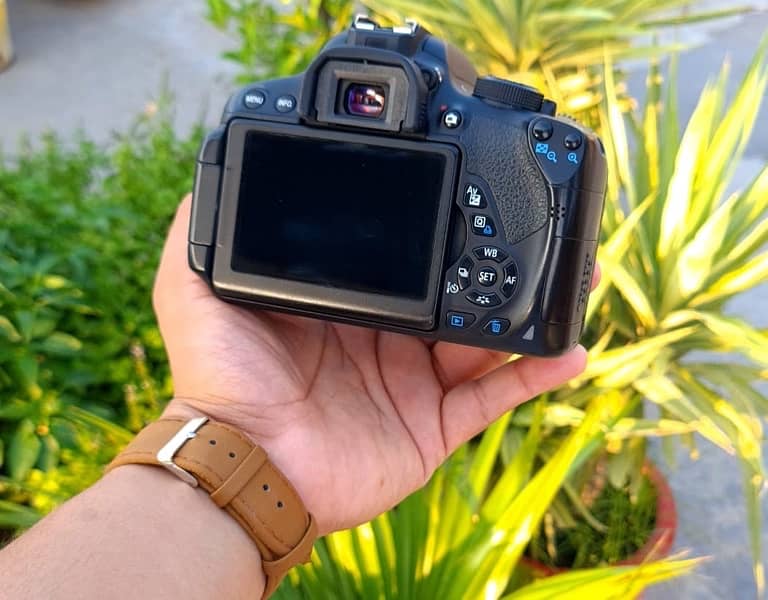 urgent sell canon d700 9
