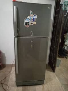 Pel Refrigerator Good Condition Excellent work