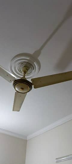 best condition used fans