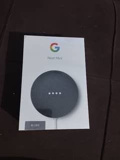 Google nest mini 0