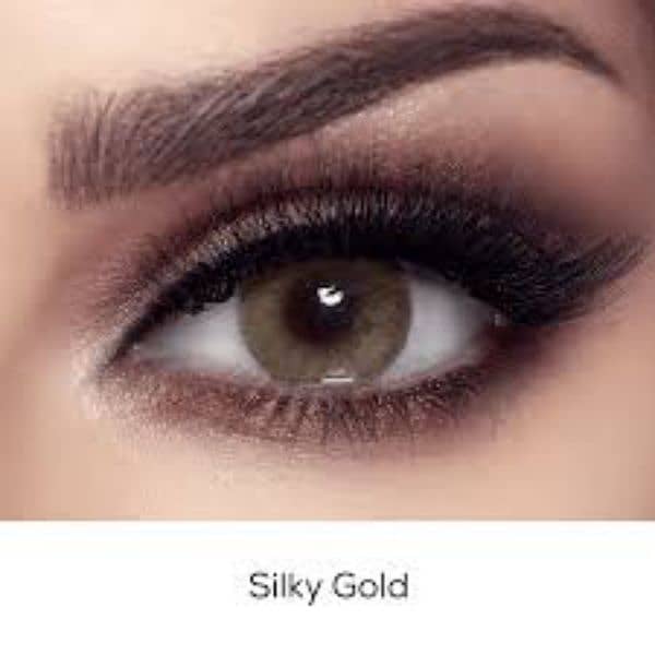Bella Silky Gold Contact Lenses – Elite Collection 1