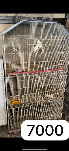 Cages for sale 0