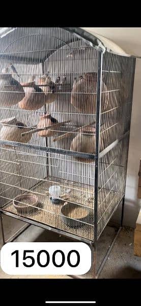 Cages for sale 5