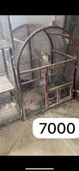 Cages for sale 10