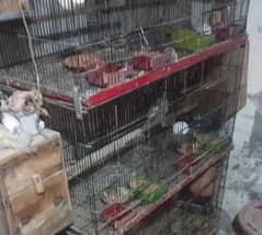 8 portion cages for sale used but in good condition