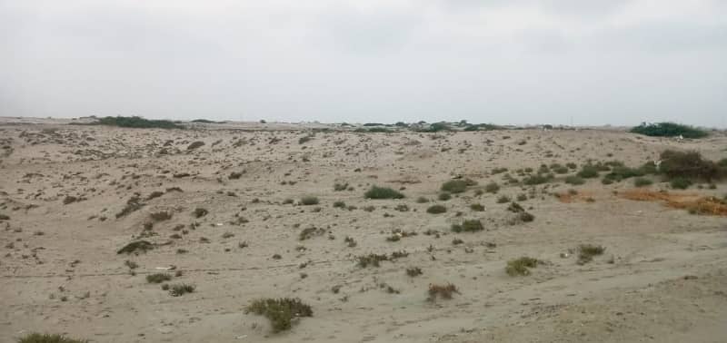 1 Acre Agriculture Land Is Available For Sale In Mouza Kappar Gwadar 1