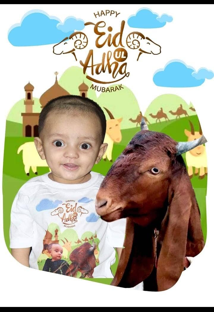 bakra Eid T-shirts girls and boys 3