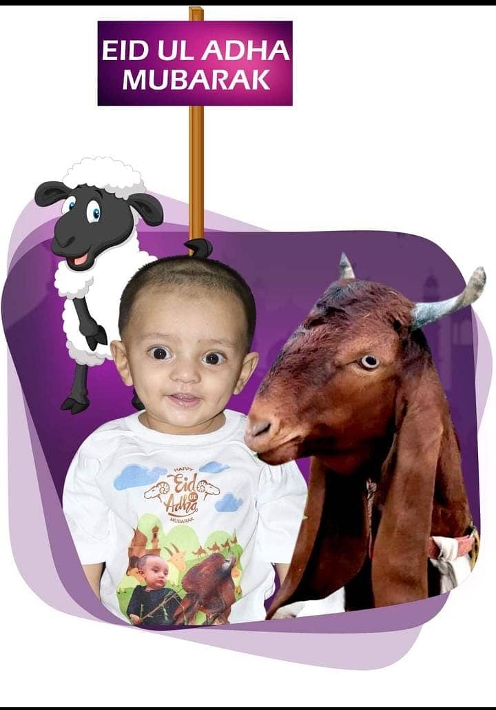 bakra Eid T-shirts girls and boys 4