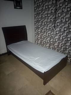 Single Bed with new Molti Ortho Mattress