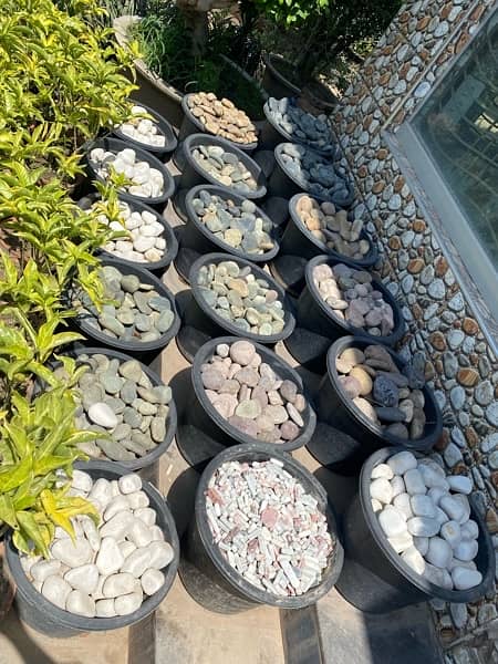 Stones for Pots 2