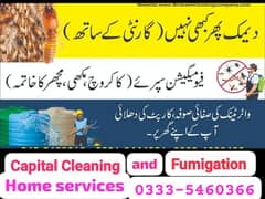 Pest control services/Termite Treatment/Water Tank Cleaning