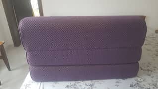 Sofa-Cum-Bed For Sale (Master Molty Foam)