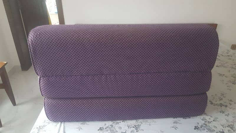 Sofa-Cum-Bed For Sale (Master Molty Foam) 0