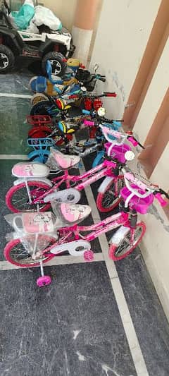 Two bicycles are available for two girls at a reasonable price