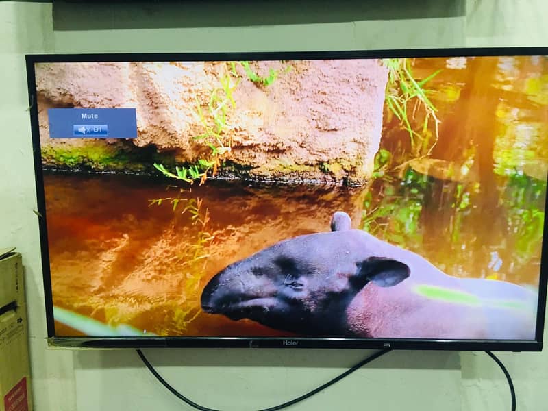 LED TVs USED CONDITION - All Size Smart Android LED TV Available 5