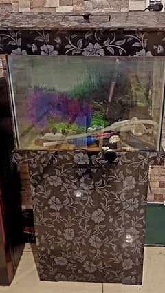 Fish Aquarium in mint condition for sale