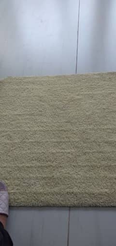 Wall to wall carpet/rug(excellent quality) 0