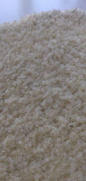 Wall to wall carpet/rug(excellent quality) 2