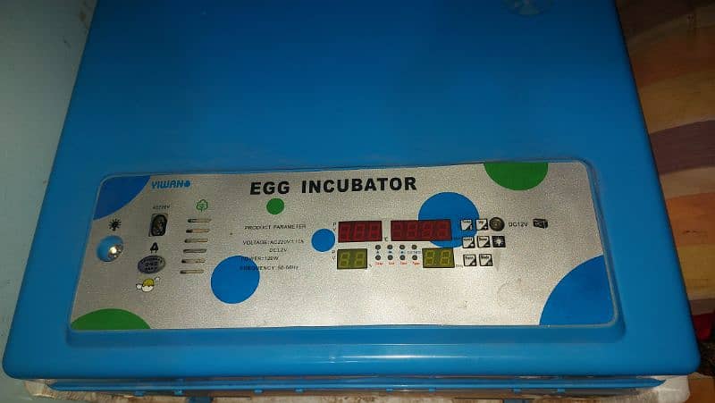 Egg incobator 128 Eggs 3