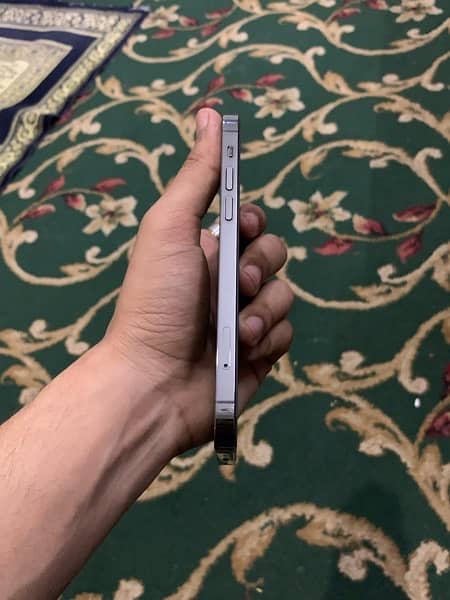 iphone 12 Pro pta approved 4